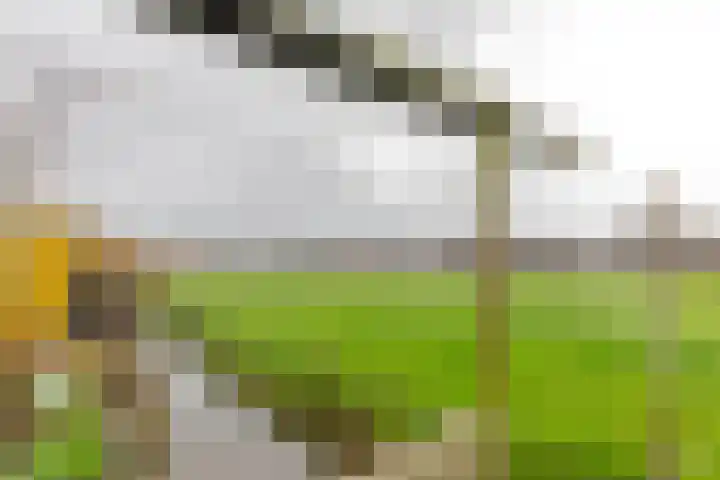 Weegbree 79 IJsselstein thumbnail 40