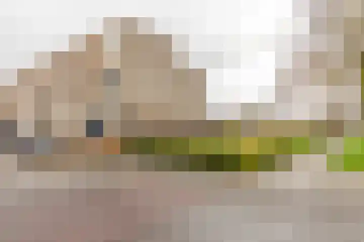 Weegbree 79 IJsselstein thumbnail 44