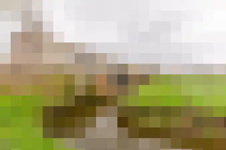 Weegbree 79 IJsselstein thumbnail 45