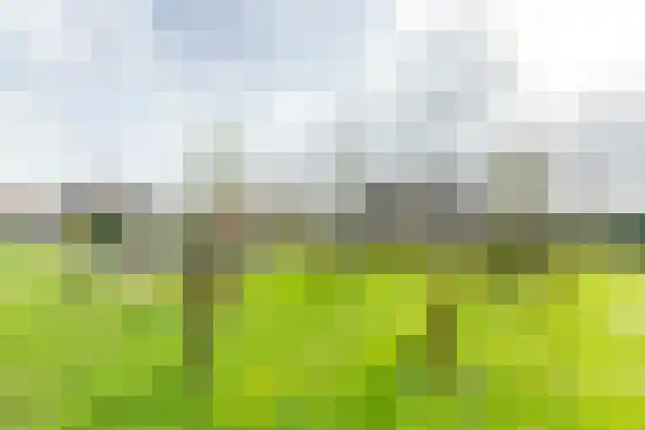 Weegbree 79 IJsselstein thumbnail 48