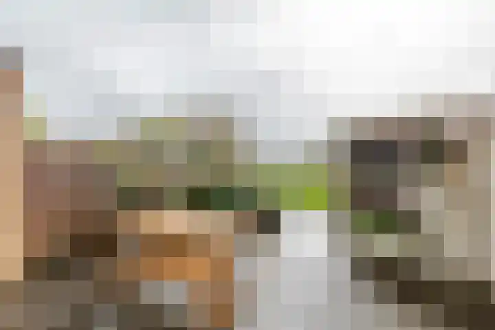 Weegbree 79 IJsselstein thumbnail 6