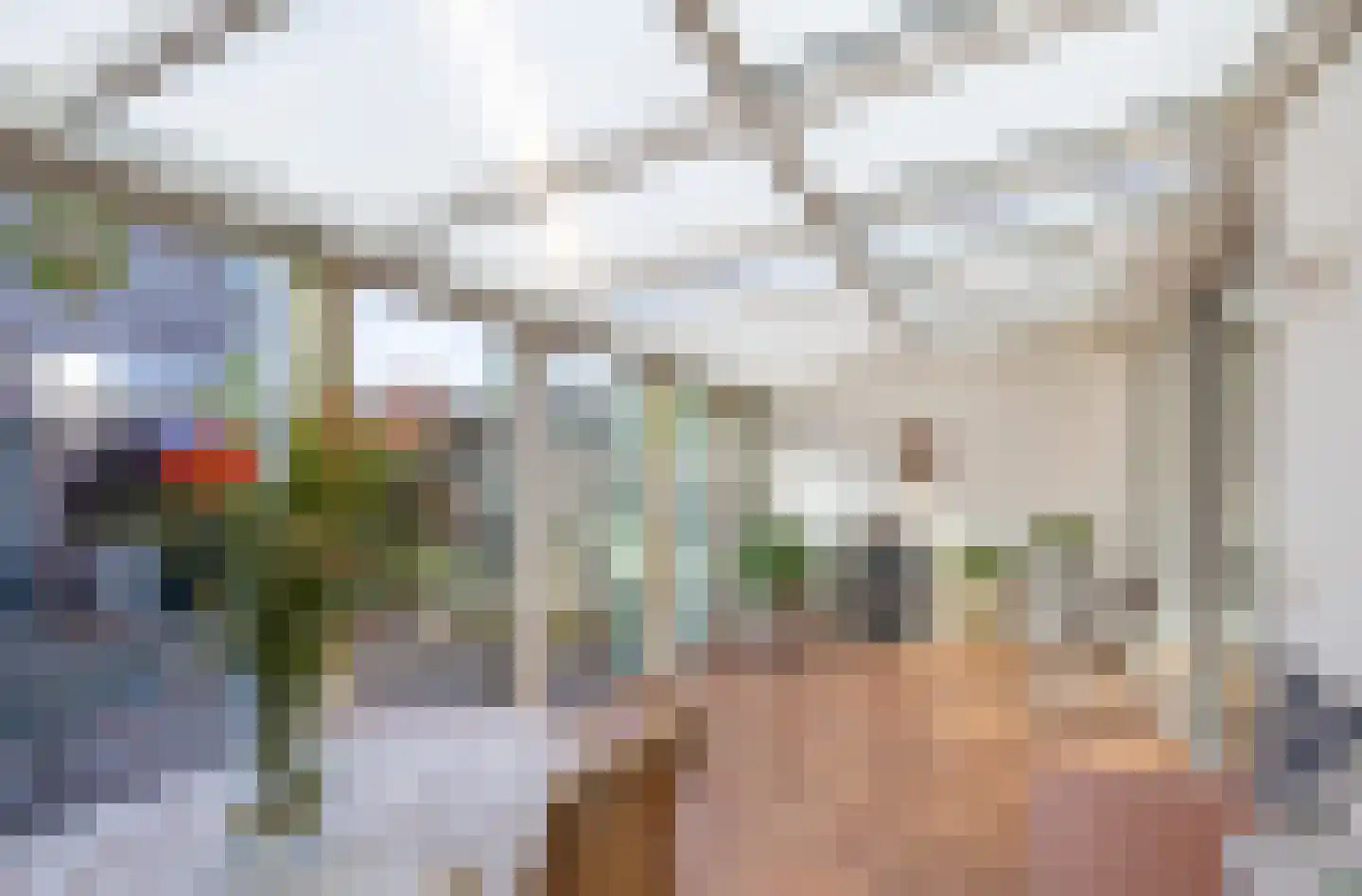 Weegbree 8 Venray thumbnail 16