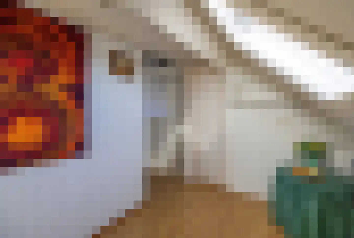 Weegbree 8 Venray thumbnail 25