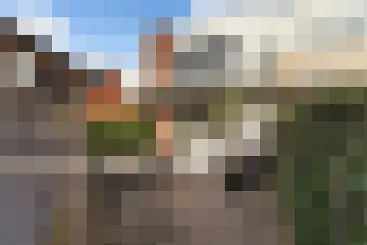 Weegbree 85 Pijnacker thumbnail 12