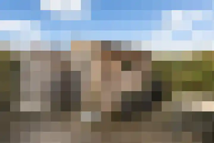 Weegbree 85 Pijnacker thumbnail 13