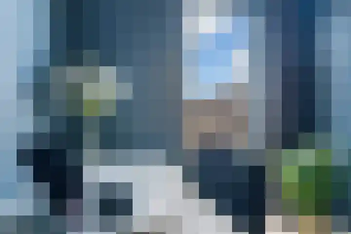 Weegbree 85 Pijnacker thumbnail 17