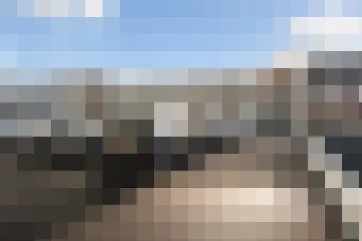 Weegbree 85 Pijnacker thumbnail 20