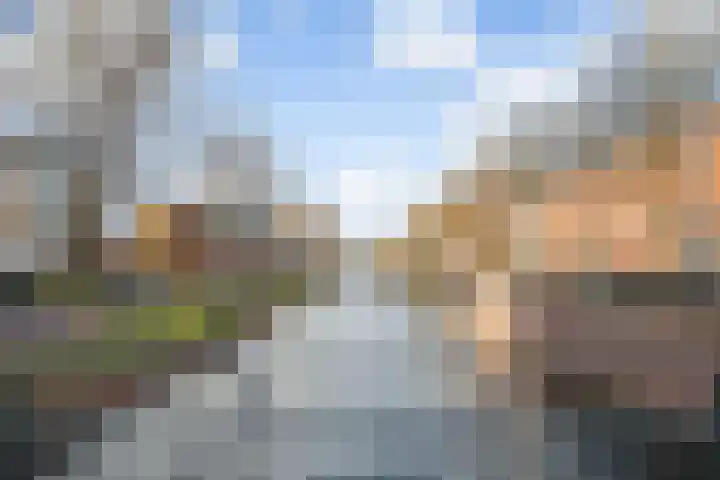 Weegbree 85 Pijnacker thumbnail 21