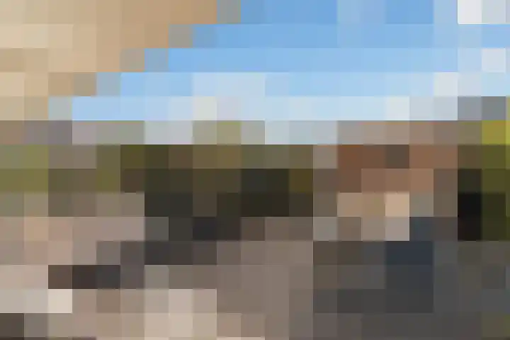Weegbree 85 Pijnacker thumbnail 4