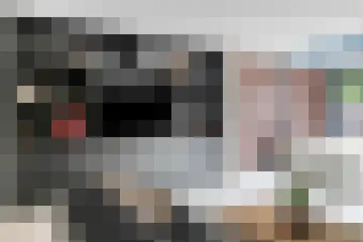 Weegbree 87 Best thumbnail 10