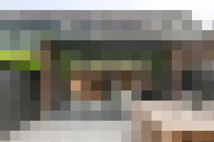 Weegbree 87 Best thumbnail 19