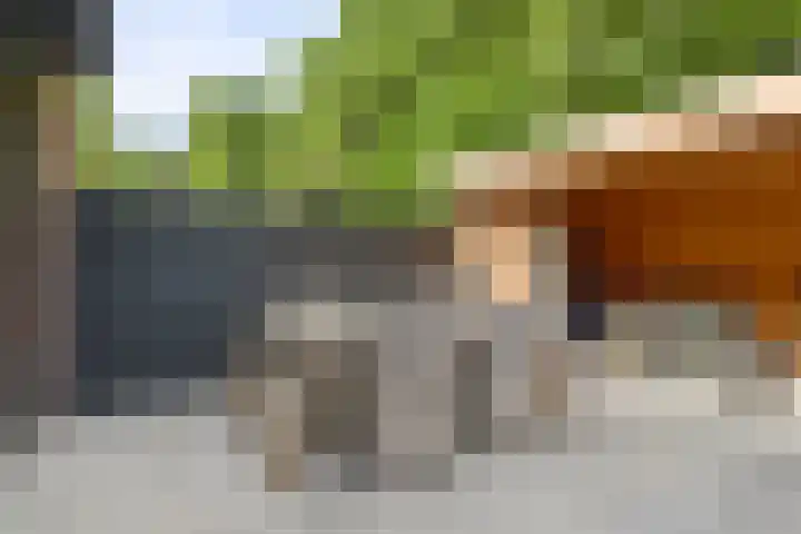 Weegbree 87 Best thumbnail 21