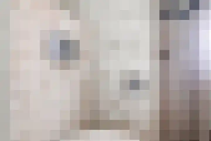 Weegbree 87 Best thumbnail 24