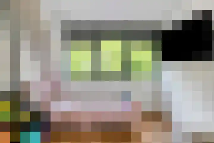 Weegbree 87 Best thumbnail 25