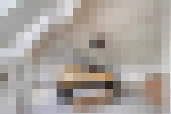 Weegbree 87 Best thumbnail 32