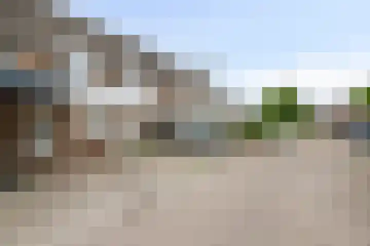 Weegbree 87 Best thumbnail 36