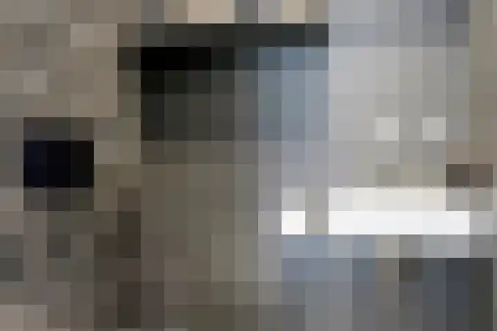 Weegbree 87 Best thumbnail 6