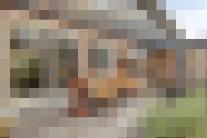 Weegbreelaan 11 Zoeterwoude thumbnail 24