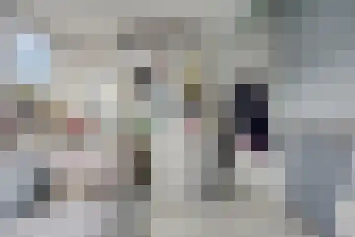 Weegbreelaan 11 Zoeterwoude thumbnail 38
