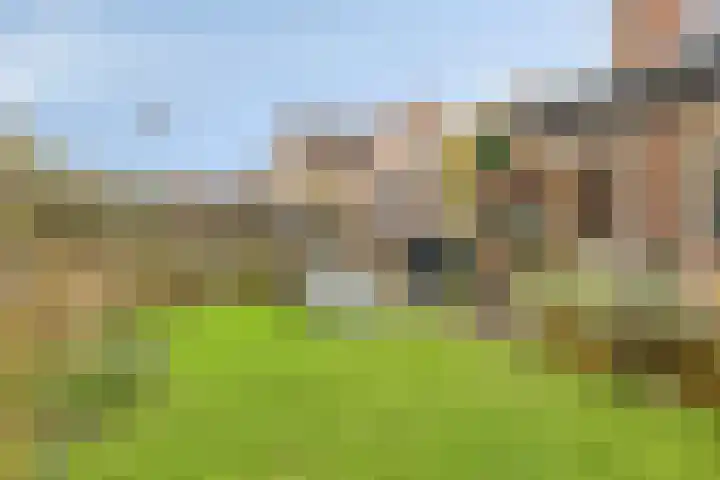 Weegbreelaan 11 Zoeterwoude thumbnail 4