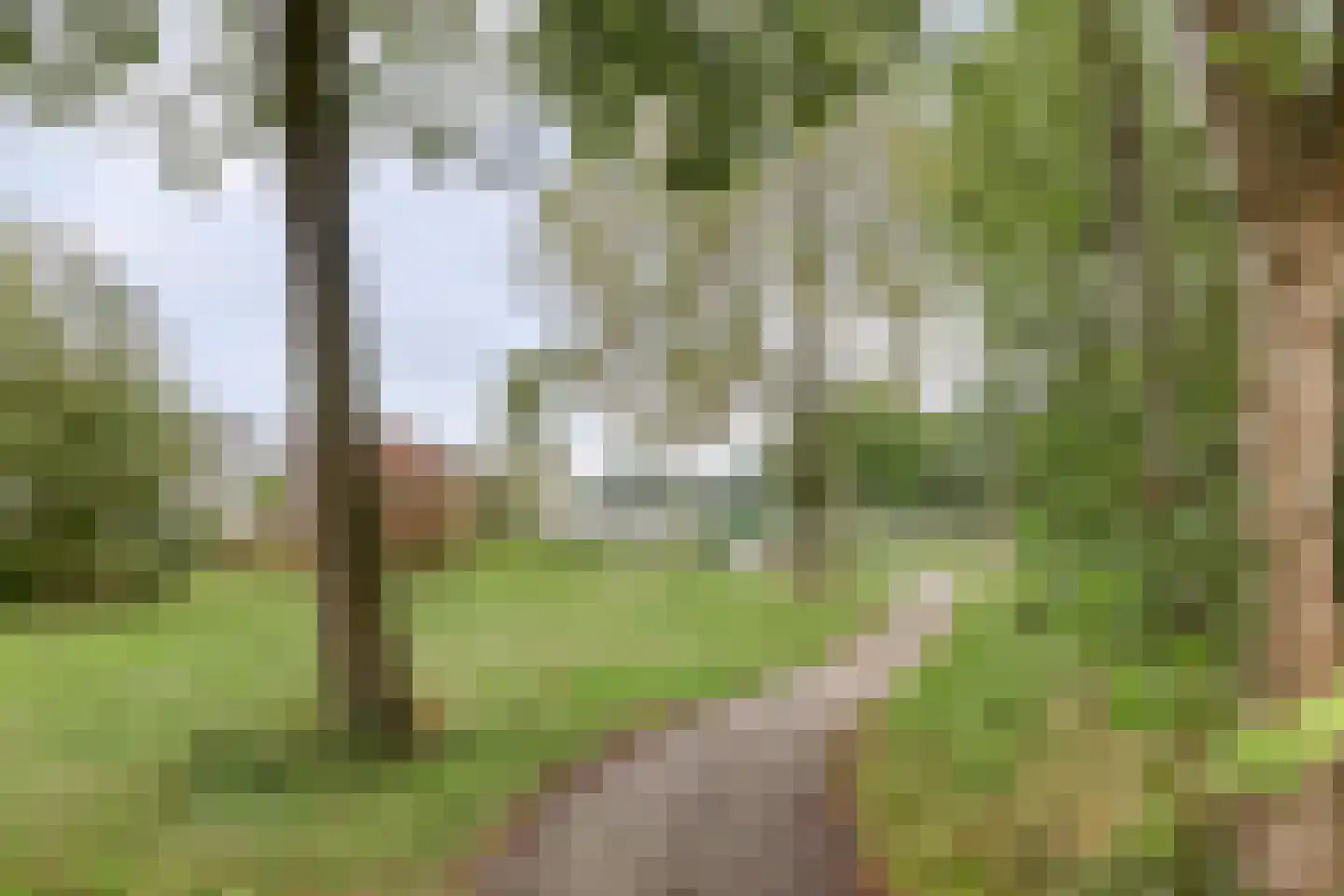 Weegbreepad 26 Goes thumbnail 27