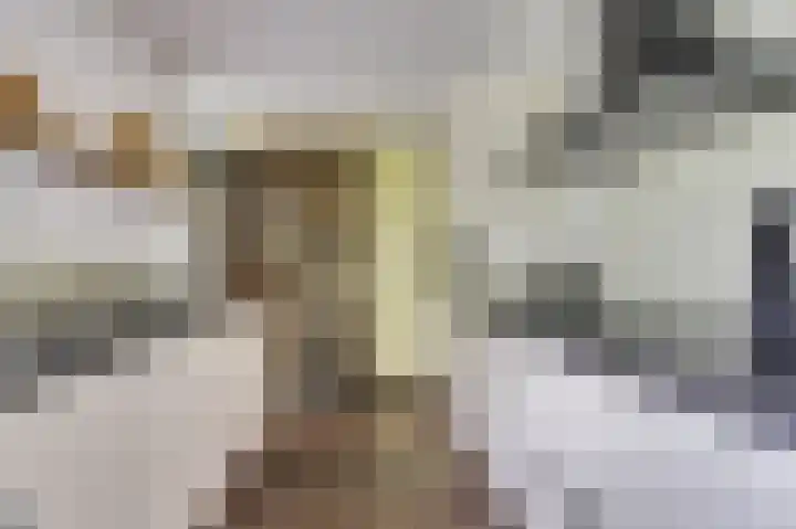Weegbreepad 38 Goes thumbnail 15