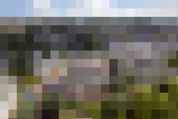 Weegbreepad 38 Goes foto 2