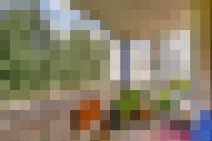 Weegbreepad 38 Goes thumbnail 25