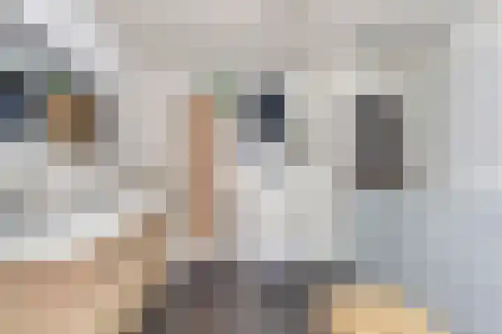 Weegbreepad 38 Goes thumbnail 27