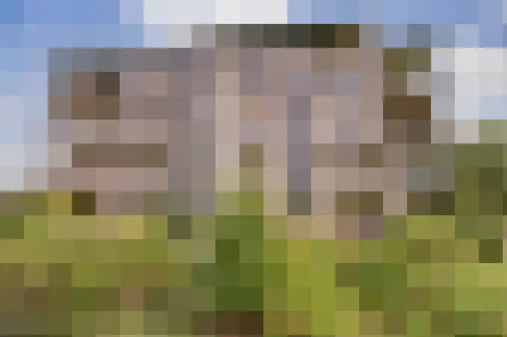 Weegbreepad 38 Goes foto 3