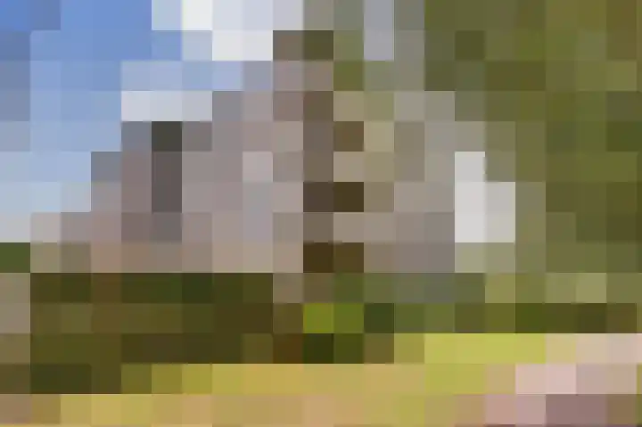 Weegbreepad 38 Goes thumbnail 30