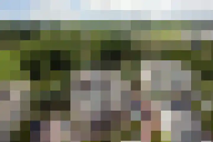 Weegbreepad 38 Goes thumbnail 32