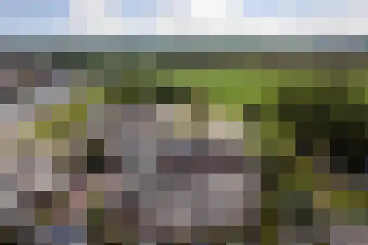 Weegbreepad 38 Goes thumbnail 33