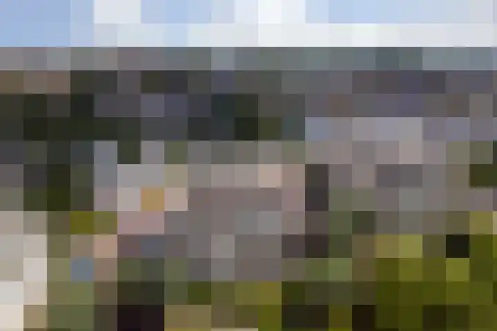 Weegbreepad 38 Goes thumbnail 34