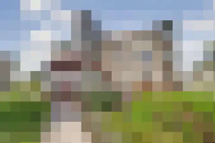 Weegbreepad 38 Goes thumbnail 4