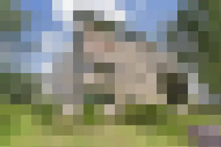 Weegbreepad 38 Goes thumbnail 41