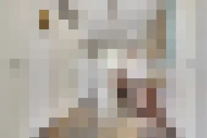 Weegbreepad 38 Goes thumbnail 7