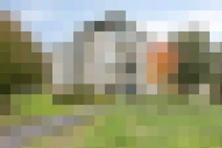 Weegbreepad 86 Goes