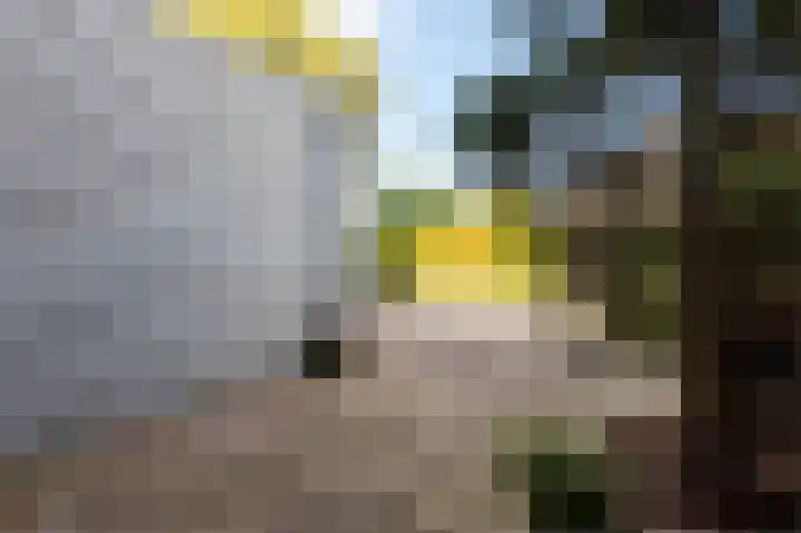 Weegbreestraat 17 Almere thumbnail 8