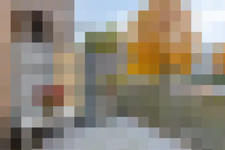 Weegsteen 6 Amersfoort thumbnail 22