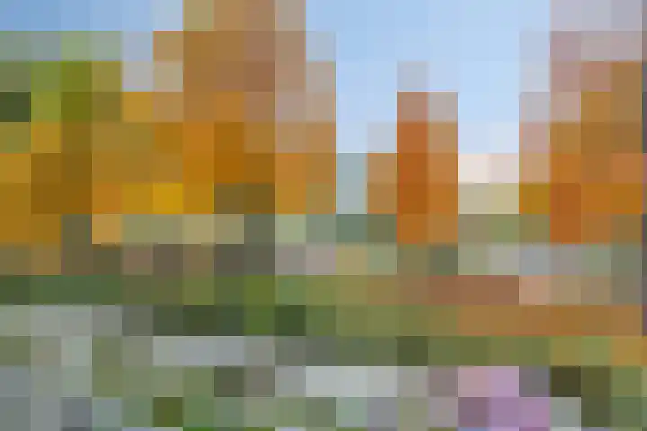 Weegsteen 6 Amersfoort thumbnail 24
