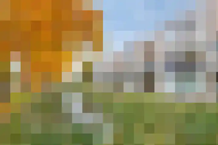 Weegsteen 6 Amersfoort thumbnail 4