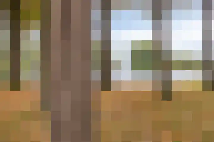 Weegsteen 6 Amersfoort thumbnail 40