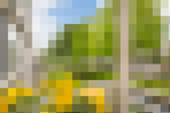 Weegsteen 7 Amersfoort thumbnail 14