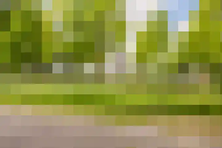 Weegsteen 7 Amersfoort thumbnail 31