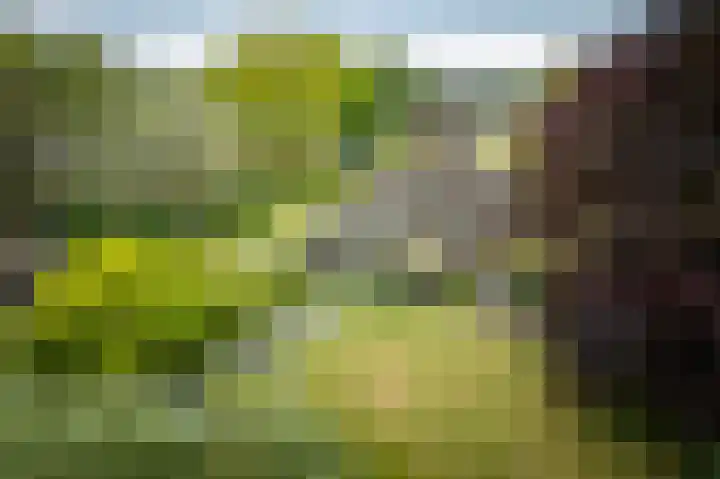 Weeleweg 12 a Heeten