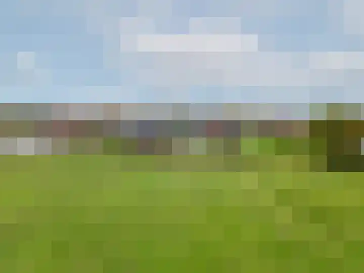 Weelsedijk 46 Strijen thumbnail 11