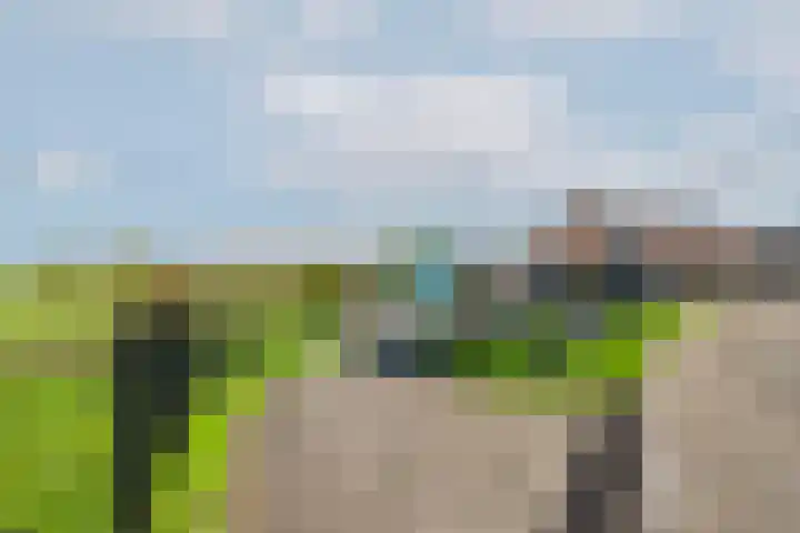 Weelsedijk 46 Strijen thumbnail 12