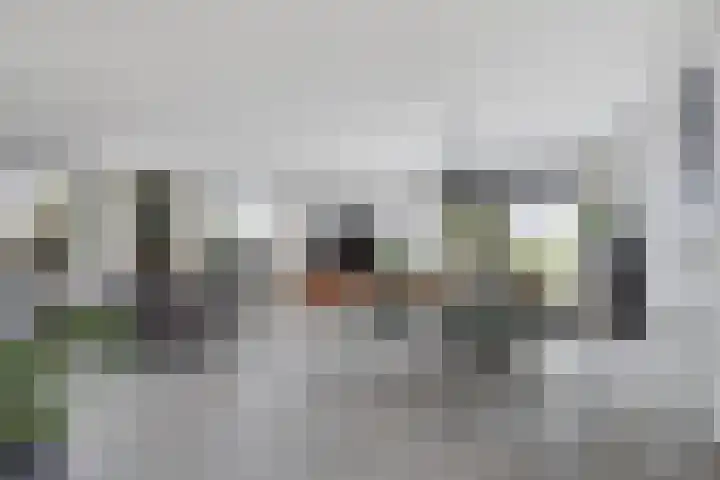 Weelsedijk 46 Strijen thumbnail 5