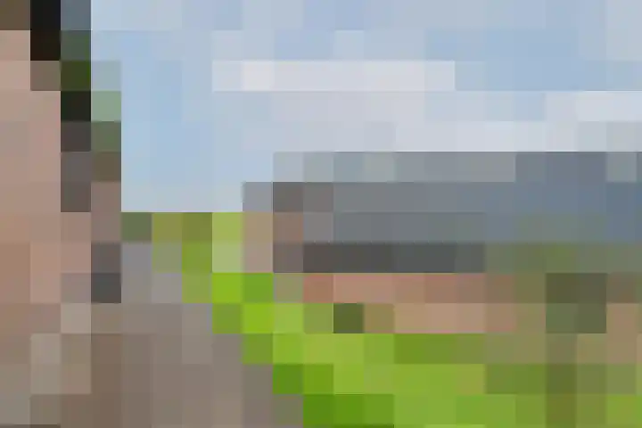 Weelsedijk 46 Strijen thumbnail 53